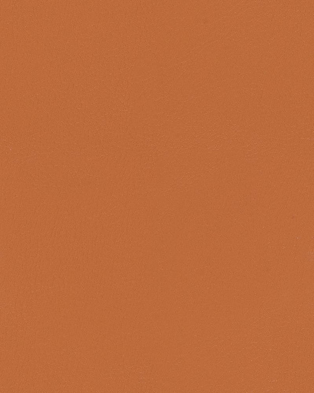 Mayer Durango Sepia DU-019 Cambridge Coordinates Collection Upholstery Fabric