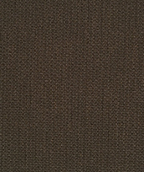 Sample of Mayer Key Largo Chocolate KL-000 Upholstery Fabric