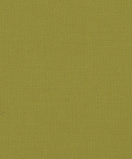 Sample of Mayer Key Largo Pear KL-033 Upholstery Fabric