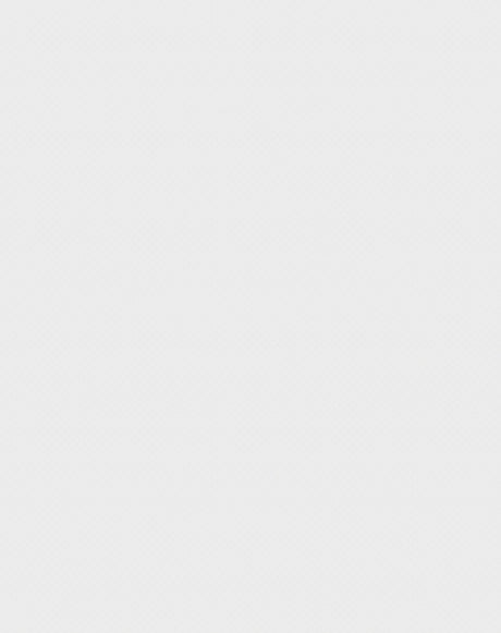 Mayer Empire Silicone Snow SEM-007 Craftsman Collection Upholstery Fabric