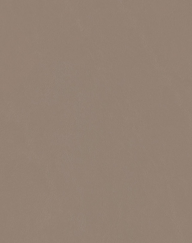 Sample of Mayer Spartan Taupe SN-000 Craftsman Collection Upholstery Fabric