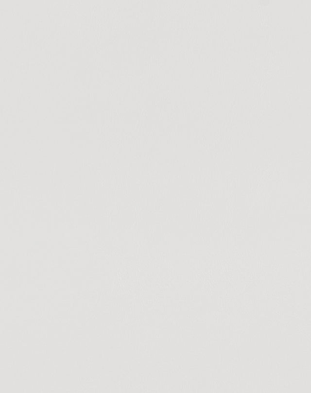 Sample of Mayer Spartan Snow SN-007 Craftsman Collection Upholstery Fabric
