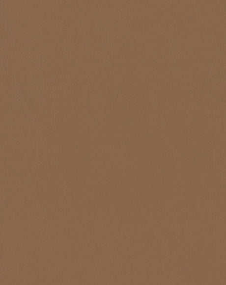 Sample of Mayer Spartan Mojave SN-010 Craftsman Collection Upholstery Fabric