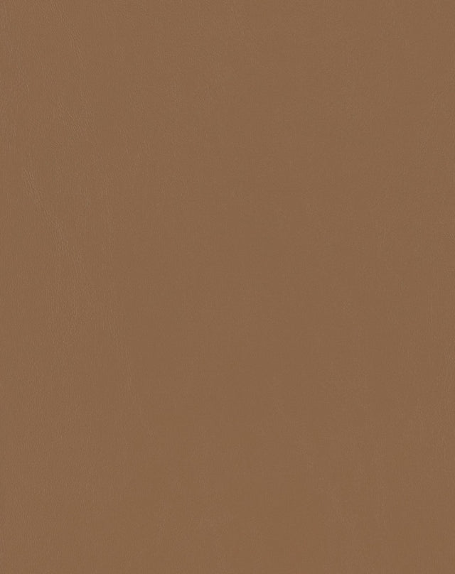 Sample of Mayer Spartan Mojave SN-010 Craftsman Collection Upholstery Fabric