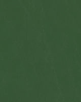 Sample of Mayer Spartan Parsley SN-013 Craftsman Collection Upholstery Fabric