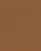 Sample of Mayer Spartan Caramel SN-020 Craftsman Collection Upholstery Fabric