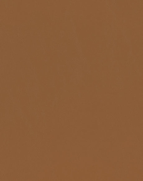 Sample of Mayer Spartan Caramel SN-020 Craftsman Collection Upholstery Fabric