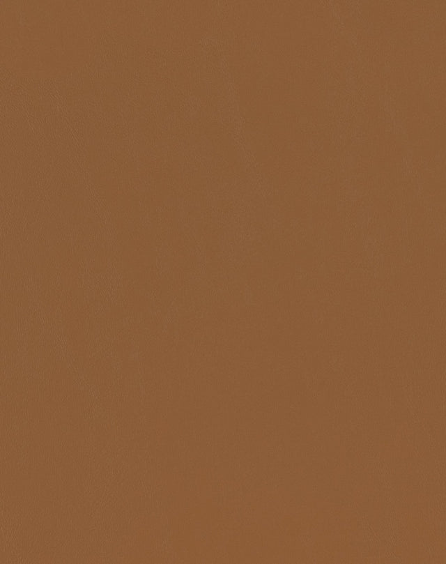 Sample of Mayer Spartan Caramel SN-020 Craftsman Collection Upholstery Fabric