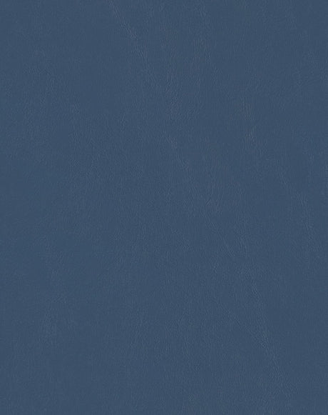 Sample of Mayer Spartan Naval SN-024 Craftsman Collection Upholstery Fabric