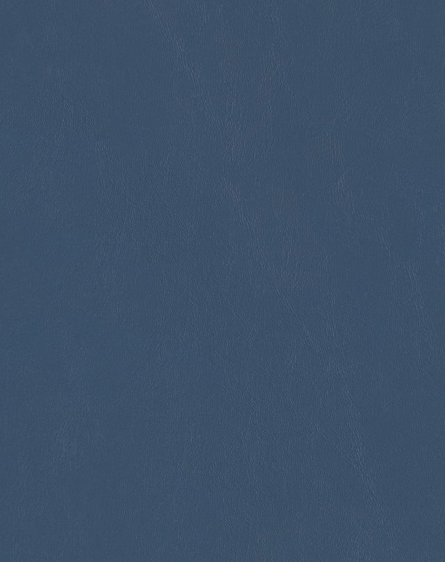 Sample of Mayer Spartan Naval SN-024 Craftsman Collection Upholstery Fabric