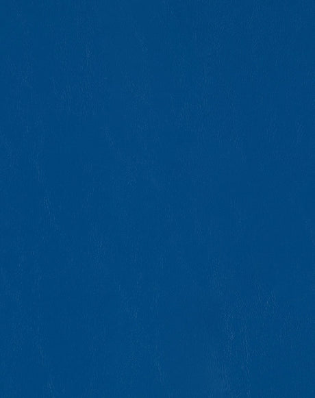 Sample of Mayer Spartan Cobalt SN-034 Craftsman Collection Upholstery Fabric