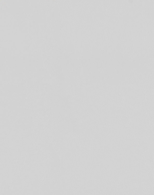 Sample of Mayer Spartan Glacier SN-037 Craftsman Collection Upholstery Fabric