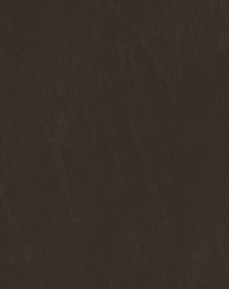 Sample of Mayer Spartan Espresso SN-040 Craftsman Collection Upholstery Fabric
