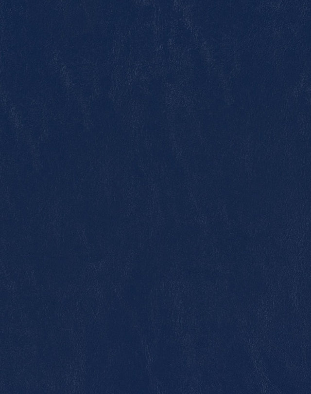 Sample of Mayer Spartan Deep Sea SN-044 Craftsman Collection Upholstery Fabric