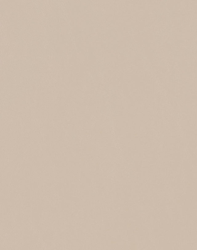 Sample of Mayer Spartan Doe SN-047 Craftsman Collection Upholstery Fabric
