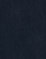 Sample of Mayer Spartan Admiral SN-054 Craftsman Collection Upholstery Fabric