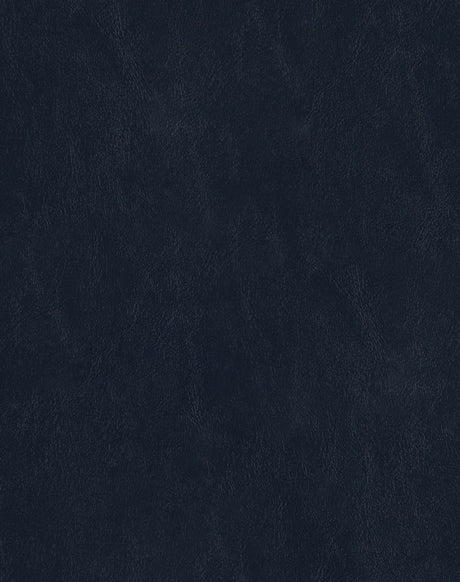 Sample of Mayer Spartan Admiral SN-054 Craftsman Collection Upholstery Fabric