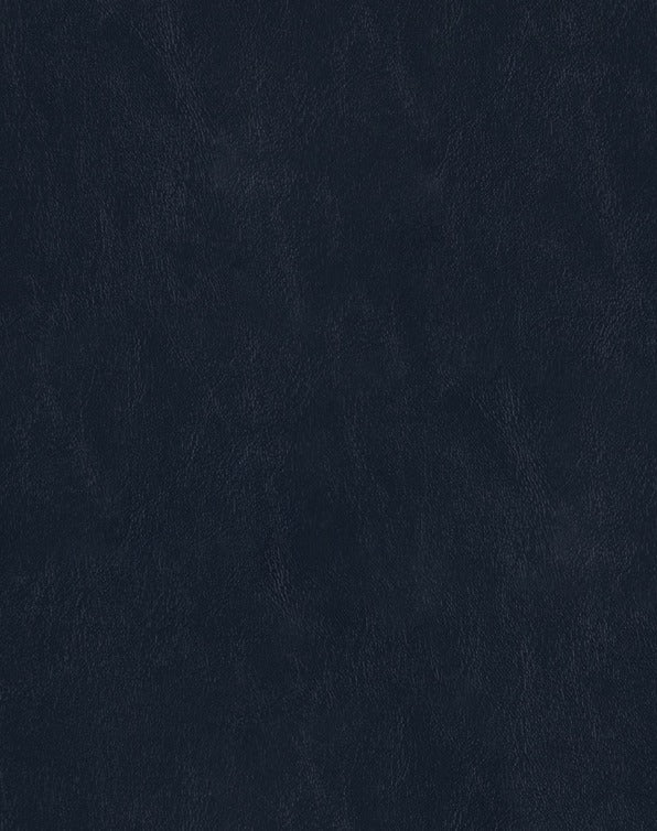 Sample of Mayer Spartan Admiral SN-054 Craftsman Collection Upholstery Fabric