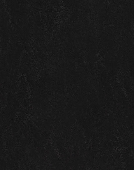 Sample of Mayer Spartan Black SN-056 Craftsman Collection Upholstery Fabric