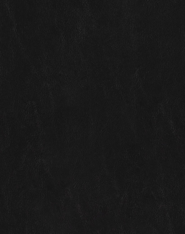 Sample of Mayer Spartan Black SN-056 Craftsman Collection Upholstery Fabric