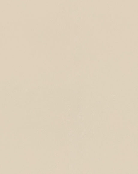 Sample of Mayer Spartan Cream SN-057 Craftsman Collection Upholstery Fabric