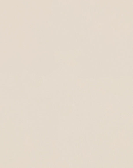 Sample of Mayer Spartan Ivory SN-067 Craftsman Collection Upholstery Fabric