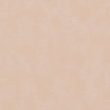 Morbern Marine Biscayne Bone BI-114 Upholstery Fabric