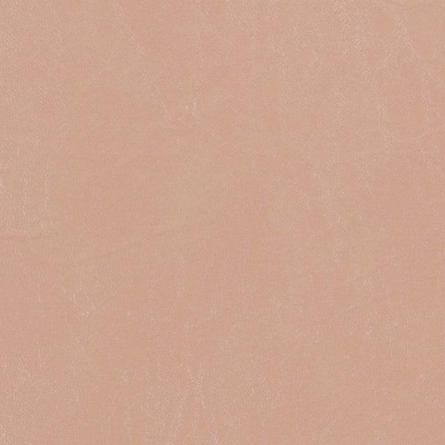 Morbern Marine Biscayne Sand Tan BI-116 Upholstery Fabric