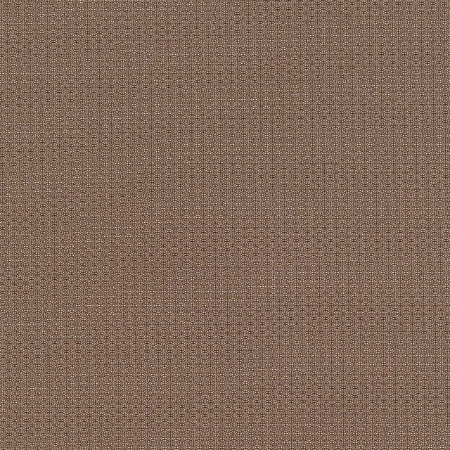 Morbern Marine Edge Bronze EG-312 Upholstery Fabric