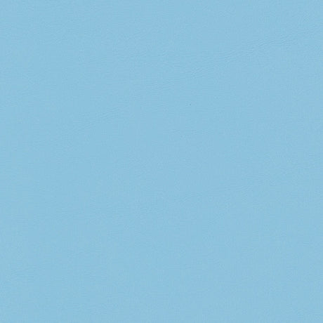 Morbern Marine  Newport Baby Blue NR-306 Upholstery Fabric