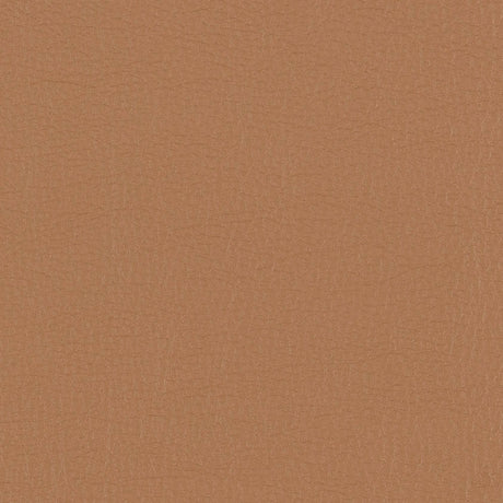 Morbern Marine Protege Empire Tan PG-03 Upholstery Fabric