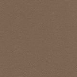 Sample of Enduratex Monticello Medium Beige 6891/84 Upholstery Fabric
