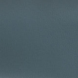 Sample of Olympus Blue Ridge OLY125ADF Contract Automotive and Marine Upholstery Fabric