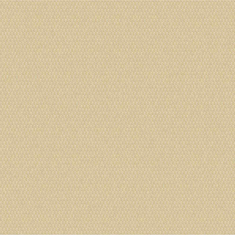 Outdura Bubbly Chick 10203 Ovation 4 Collection - Tawny Sunset Upholstery Fabric