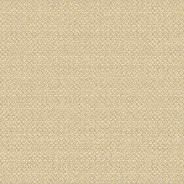 Outdura Bubbly Chick 10203 Ovation 4 Collection - Tawny Sunset Upholstery Fabric