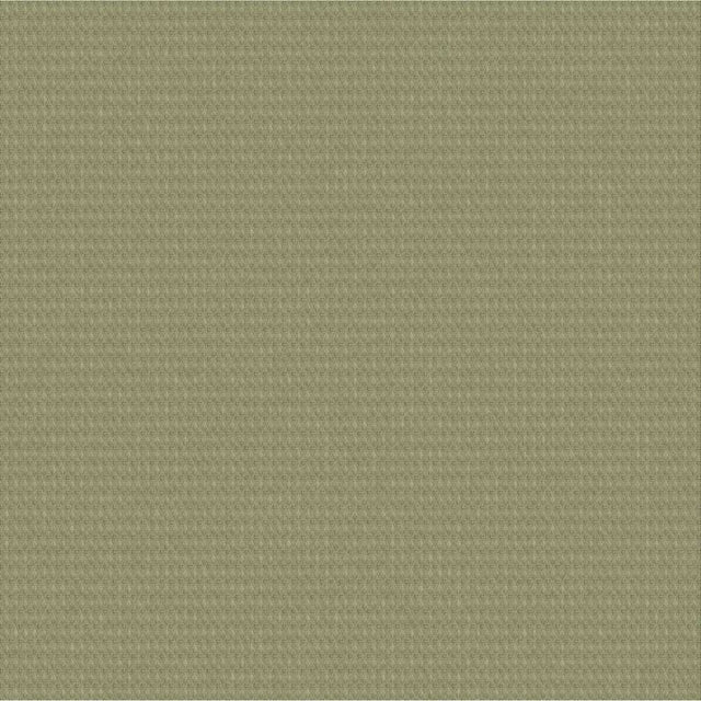Outdura ETC Asparagus 2671 Ovation 4 Collection - Garden Spot Upholstery Fabric