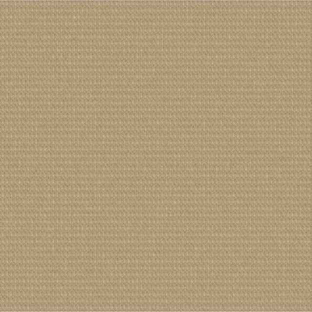 Outdura ETC Fawn 2663 Ovation 4 Collection - Warm Winter Upholstery Fabric