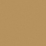Outdura Solids Golden 5443 Modern Textures Collection Upholstery Fabric
