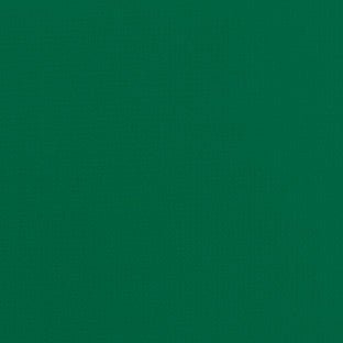 Patio 500 Dark Green 510 61-Inch Awning Fabric