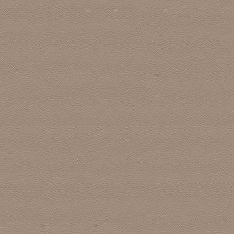Sample of Softside Pegasus 1616 Sand Dollar Automotive / Marine Upholstery Fabric