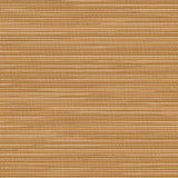 Phifertex Plus Dupioni Apricot KFE 42x14 54 - inch Sling Upholstery Fabric - Outdoor Textiles