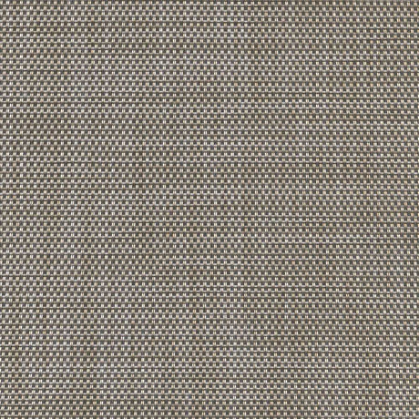 Phifertex Plus Mica Pearl ZAY 54-inch Sling Fabric