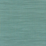 Phifertex Plus Straw Mat Blue LBY 54-inch Sling Fabric