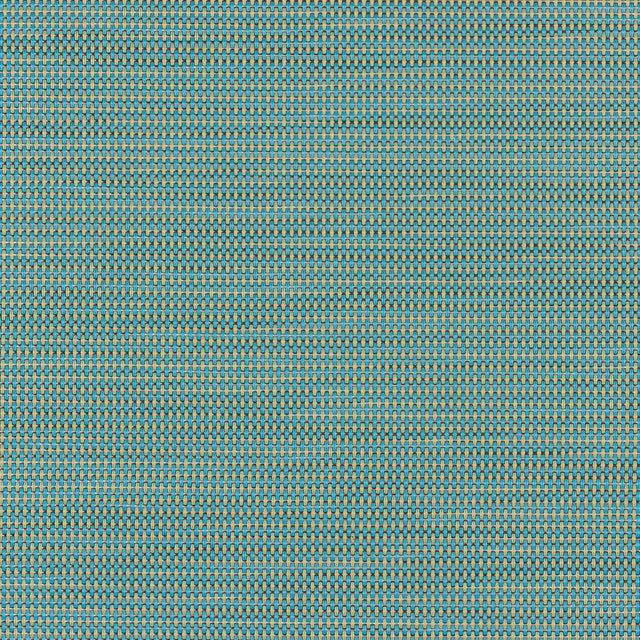 Phifertex Plus Straw Mat Blue LBY 54-inch Sling Fabric