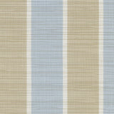 Phifertex Stripes Fiji Stripe Morning Blue LPS 42x14 54 - inch Sling Upholstery Fabric - Outdoor Textiles