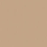 Sample of Softside Polaris Marine POL 1622 Sand Dollar Automotive / Marine Upholstery Fabric