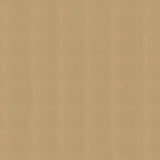 AbbeyShea Apollo 68 Beige Tarp Fabric