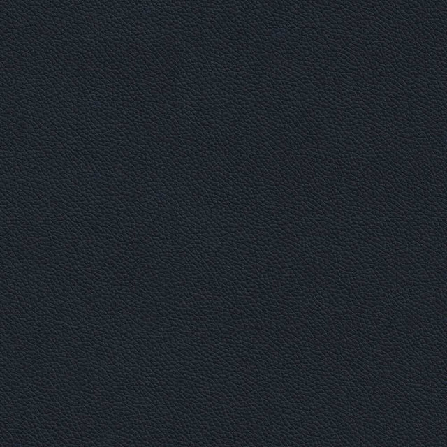 Sample of Enduratex Longitude Soft Ebony 7692 Upholstery Fabric
