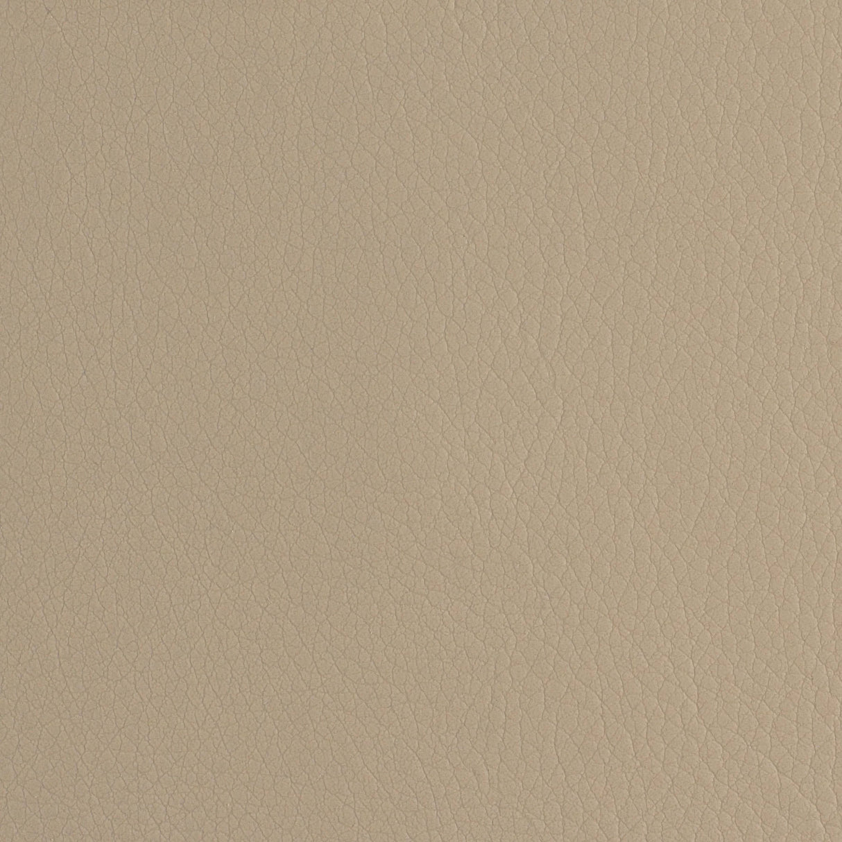 Sample of Envision Mushroom 19 Upholstery Fabric - Outdoor Textiles