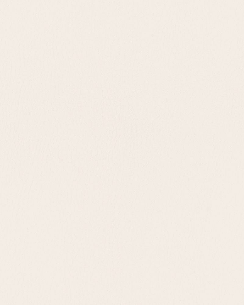 Sample of Mayer Durango Alabaster DU-017 Cambridge Coordinates Collection Upholstery Fabric